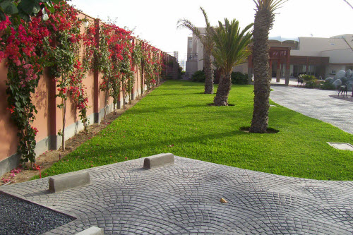 FALCÓN CASA DESEOS - Paracas