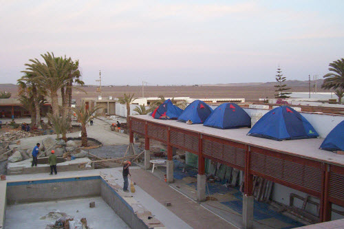 FALCÓN CASA DESEOS - Paracas