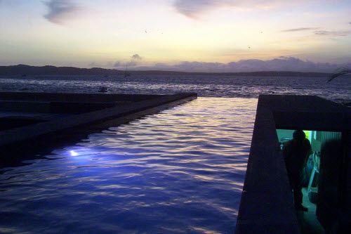 FALCÓN CASA DESEOS - Paracas